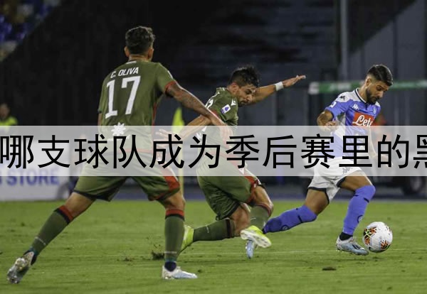 你看好哪支球队成为季后赛里的黑马♞?