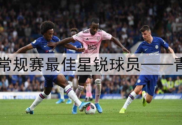 ⭐2024-25赛季CBA常规赛最佳星锐球员——青岛男篮球员杨瀚森