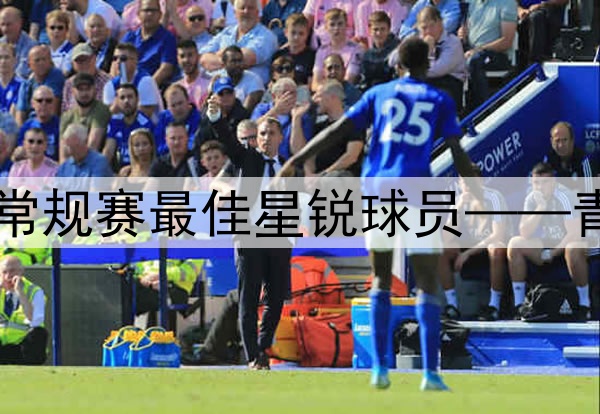 ⭐2024-25赛季CBA常规赛最佳星锐球员——青岛男篮球员杨瀚森