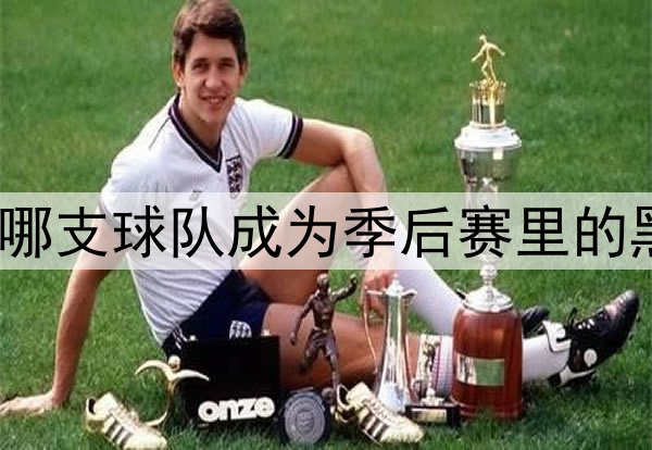 你看好哪支球队成为季后赛里的黑马♞?