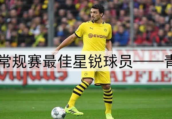 ⭐2024-25赛季CBA常规赛最佳星锐球员——青岛男篮球员杨瀚森