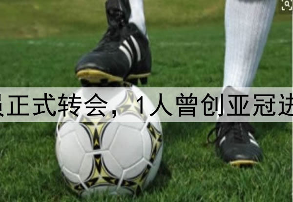 再见！国安官宣5球员正式转会，1人曾创亚冠进球纪录，球迷送祝福