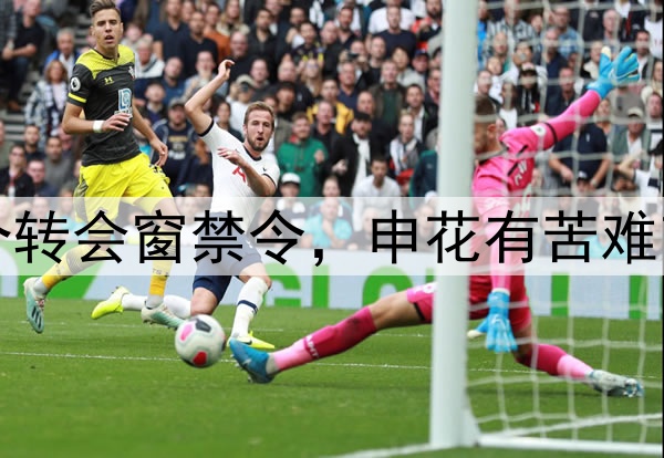 遭遇FIFA三个转会窗禁令,申花有苦难言将选择赔偿