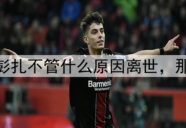 【投票】热议：布彭扎不管什么原因离世，那天的比赛也应取消？
