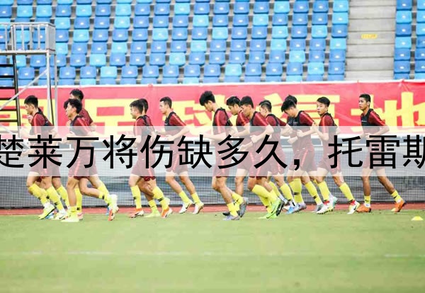 弗里克：不清楚莱万将伤缺多久，托雷斯状态堪称完美