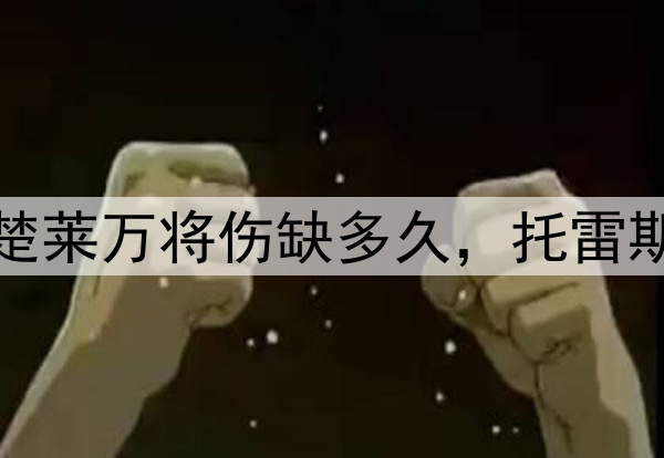 弗里克:不清楚莱万将伤缺多久,托雷斯状态堪称完美