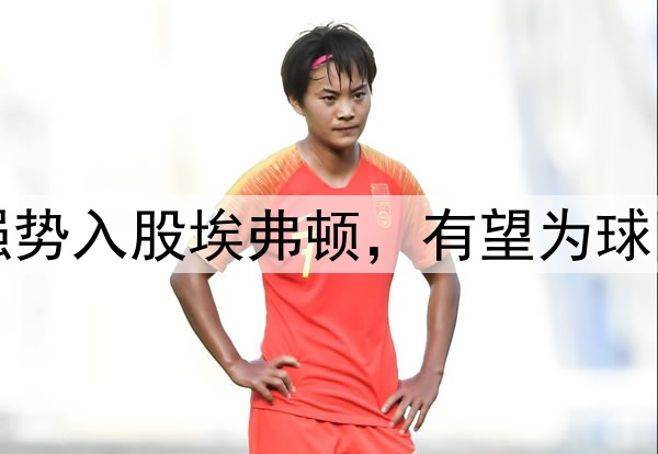 美国亿万富翁强势入股埃弗顿，有望为球队吸引更多投资