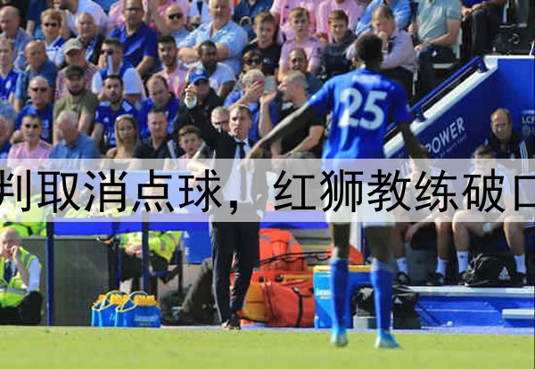 中甲巨大争议！主裁判取消点球，红狮教练破口大骂，里瓦尔多见证