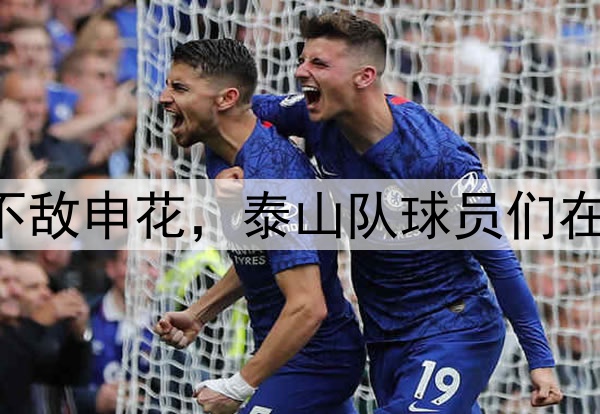 中超|泰山0：1不敌申花，泰山队球员们在场上拼尽了全力