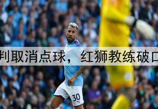 中甲巨大争议！主裁判取消点球，红狮教练破口大骂，里瓦尔多见证