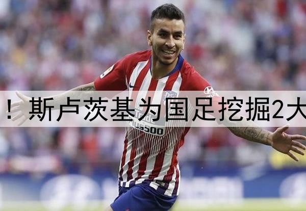 申花队换“将”成功！斯卢茨基为国足挖掘2大铁闸，伊万可直接用