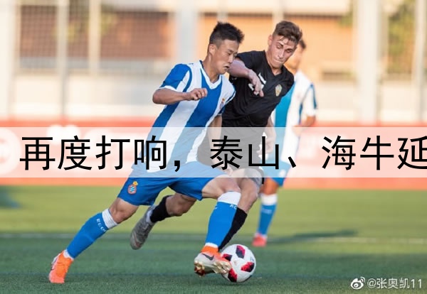 中超|“齐鲁德比”再度打响，泰山、海牛延续三十年恩怨情仇
