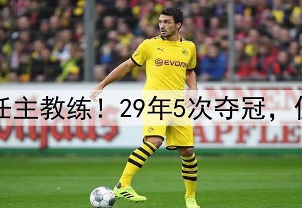 波波维奇不再担任主教练！29年5次夺冠，仅缺席3次季后赛！