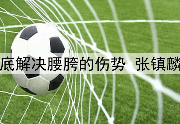 辽宁日报：为彻底解决腰胯的伤势 张镇麟今夏将进行手术