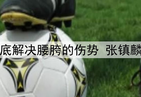 辽宁日报：为彻底解决腰胯的伤势 张镇麟今夏将进行手术