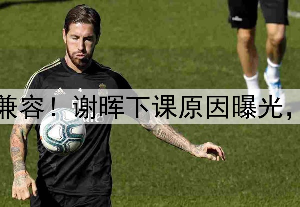 喝咖啡与吃铁锅炖不兼容!谢晖下课原因曝光,做到这一点是真男人