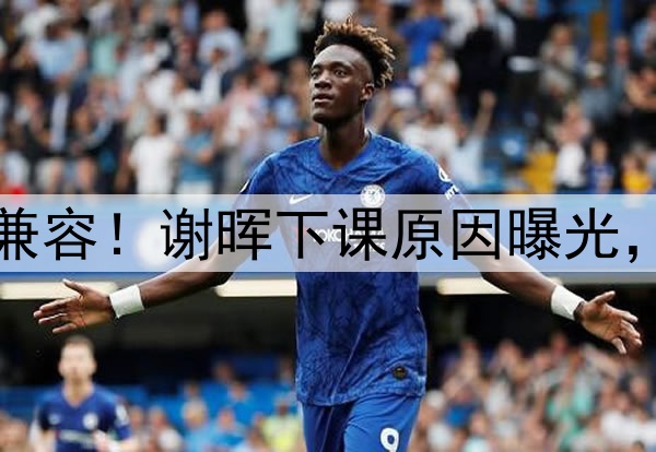 喝咖啡与吃铁锅炖不兼容!谢晖下课原因曝光,做到这一点是真男人