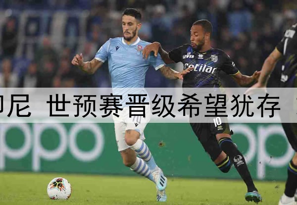 国足即将迎战印尼 世预赛晋级希望犹存 或击败印尼取胜