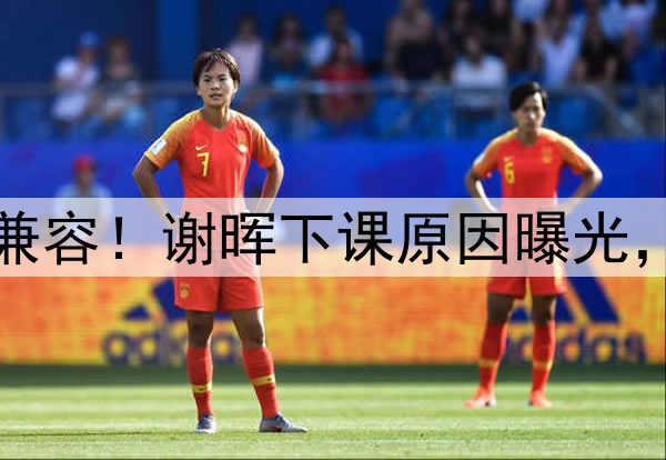 喝咖啡与吃铁锅炖不兼容！谢晖下课原因曝光，做到这一点是真男人