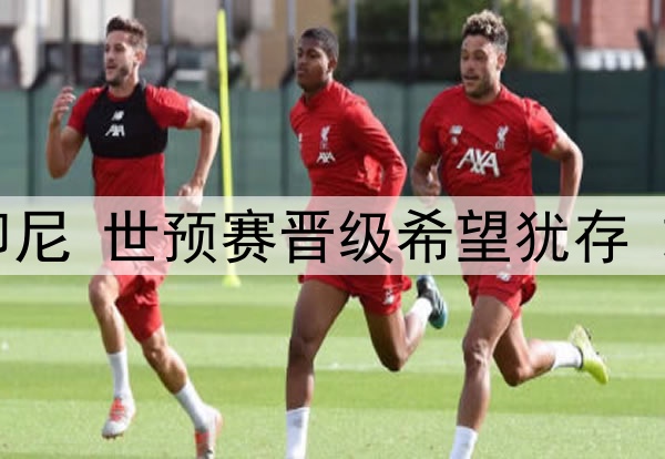 国足即将迎战印尼 世预赛晋级希望犹存 或击败印尼取胜