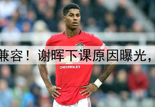 喝咖啡与吃铁锅炖不兼容!谢晖下课原因曝光,做到这一点是真男人