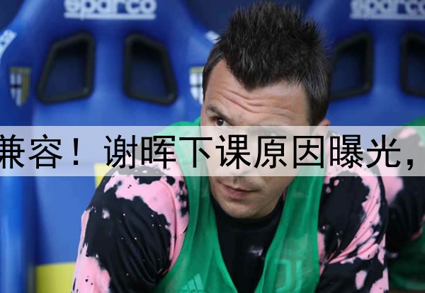 喝咖啡与吃铁锅炖不兼容!谢晖下课原因曝光,做到这一点是真男人