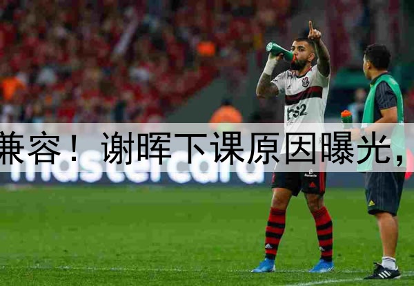 喝咖啡与吃铁锅炖不兼容!谢晖下课原因曝光,做到这一点是真男人