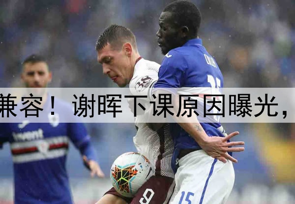 喝咖啡与吃铁锅炖不兼容！谢晖下课原因曝光，做到这一点是真男人
