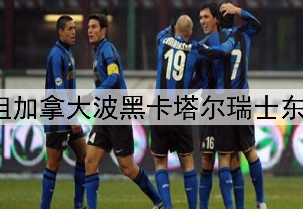 世界杯B组加拿大波黑卡塔尔瑞士东道主首秀