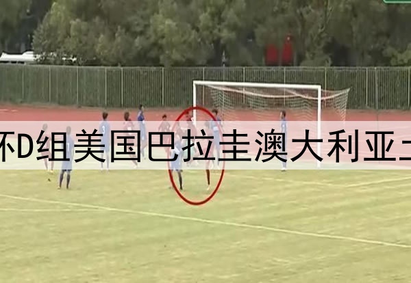 世界杯D组美国巴拉圭澳大利亚土耳其