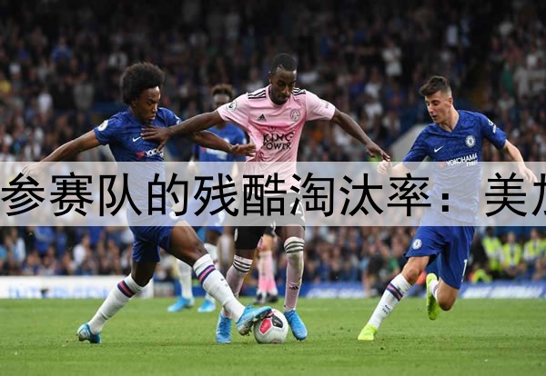 南美6席与10支参赛队的残酷淘汰率：美加墨世界杯前瞻