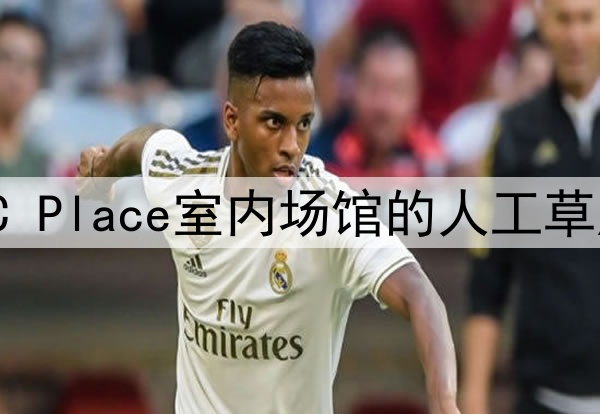 2026墨美加世界杯BC Place室内场馆的人工草皮与天然草转换技术
