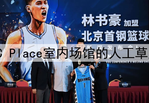 2026墨美加世界杯BC Place室内场馆的人工草皮与天然草转换技术