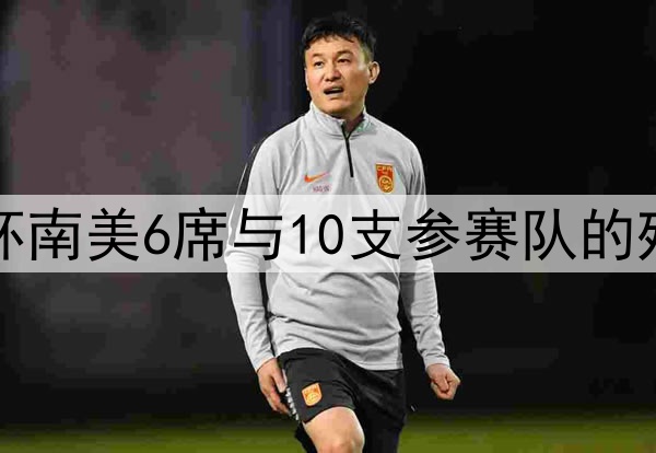2026世界杯南美6席与10支参赛队的残酷淘汰率