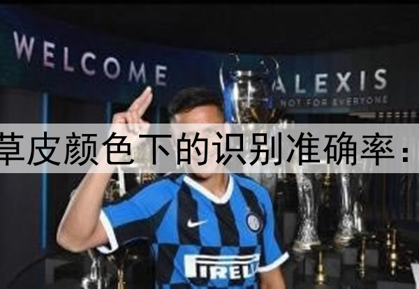 门线技术在不同草皮颜色下的识别准确率:2026世界杯前瞻