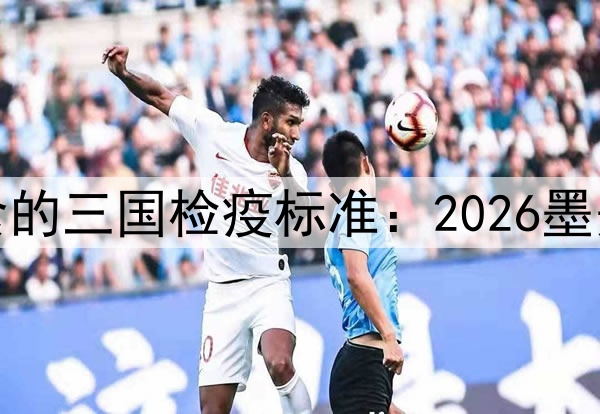 物流中冷链餐食的三国检疫标准：2026墨美加世界杯前瞻